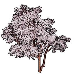 Faux Cherry Blossoms Set