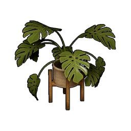 Houseplant Set